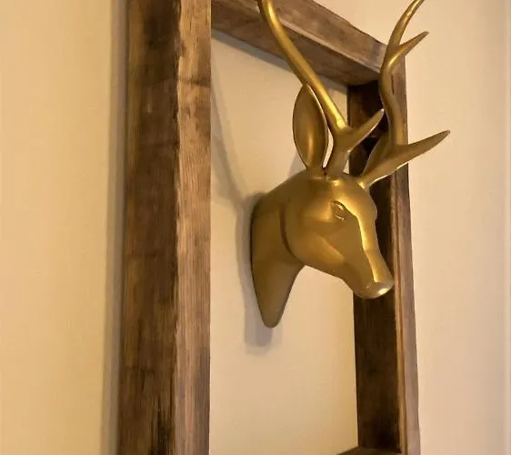 Daire Luxus Ausspann Goslar