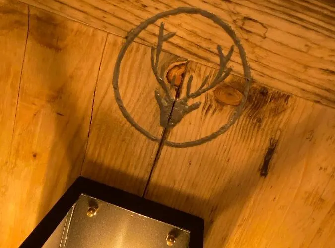 Luxus Ausspann Daire